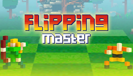 Flipping Master img